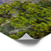 Grand Canyon Poster (Ecke)