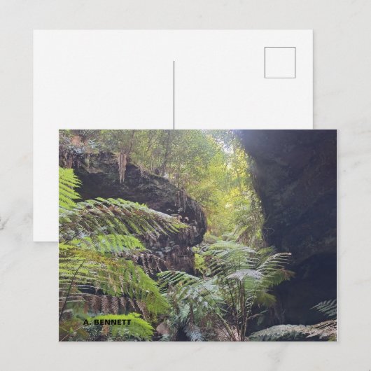 Grand Canyon Postkarte (Vorne/Hinten)