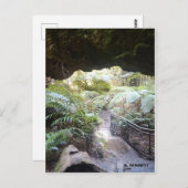 Grand Canyon Postkarte (Vorne/Hinten)