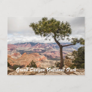 Grand Canyon Postkarte
