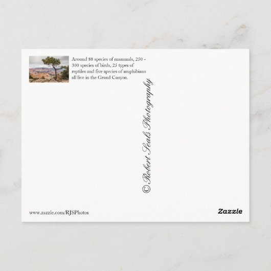 Grand Canyon Postkarte (Rückseite)