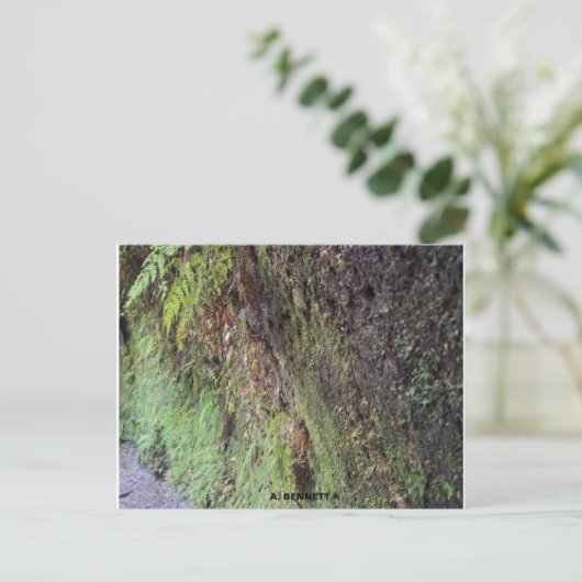 Grand Canyon Postkarte (Stehend Vorderseite)