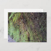 Grand Canyon Postkarte (Vorne/Hinten)