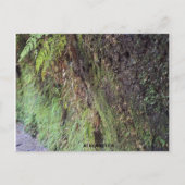 Grand Canyon Postkarte (Vorderseite)