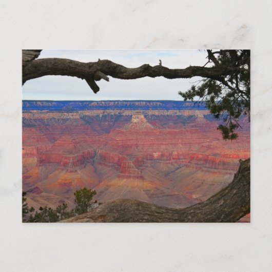 Grand Canyon Postkarte (Vorderseite)
