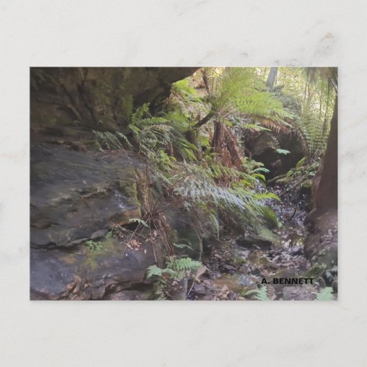 Grand Canyon Postkarte (Vorderseite)