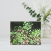 Grand Canyon Postkarte (Stehend Vorderseite)