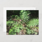 Grand Canyon Postkarte (Vorne/Hinten)