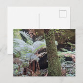 Grand Canyon Postkarte (Vorne/Hinten)
