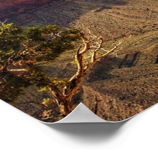 Grand Canyon Print Poster (Ecke)
