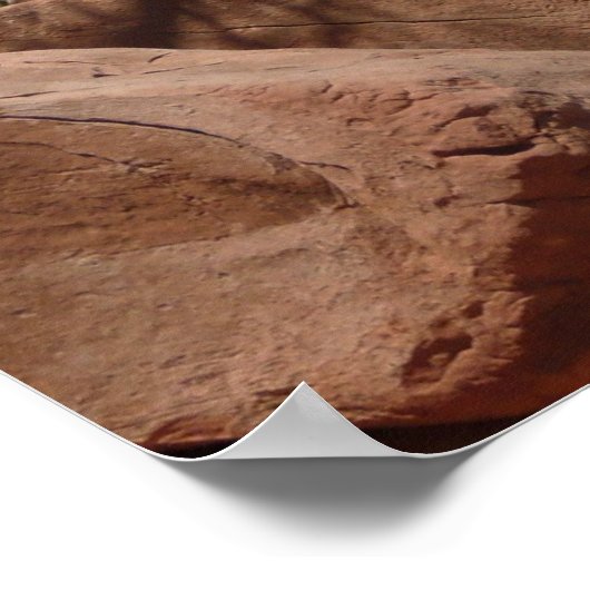 Grand Canyon Shrub Poster (Ecke)