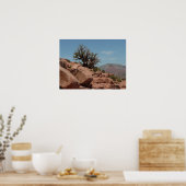 Grand Canyon Shrub Poster (Küche)