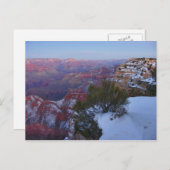 Grand Canyon Snow Postcard Postkarte (Vorne/Hinten)