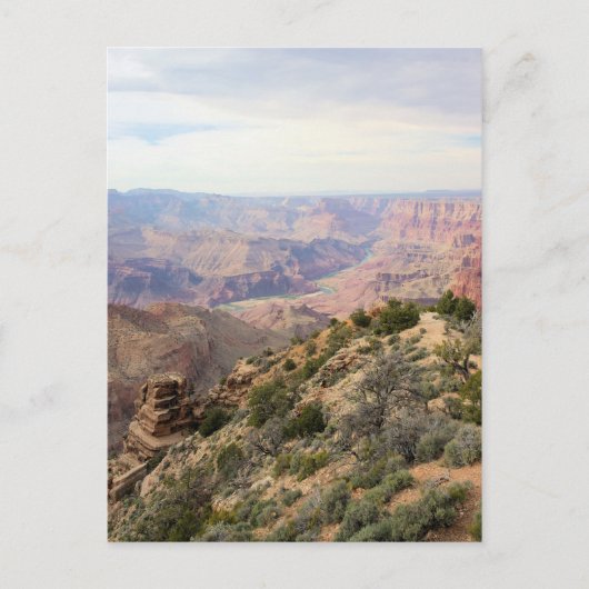 Grand Canyon - South Rim Postcard Postkarte (Vorderseite)
