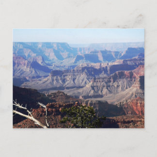 Grand Canyon - South Rim Postkarte