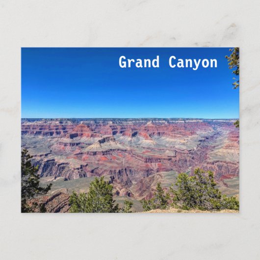 Grand Canyon South Rim Postkarte (Vorderseite)