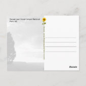 Grand Canyon Sunset, AZ - Postkarte (Rückseite)