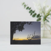 Grand Canyon Sunset Postcard 3 Postkarte (Stehend Vorderseite)
