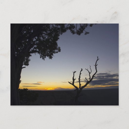 Grand Canyon Sunset Postcard 3 Postkarte (Vorderseite)