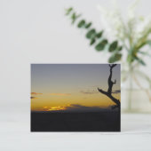 Grand Canyon Sunset Postcard Postkarte (Stehend Vorderseite)