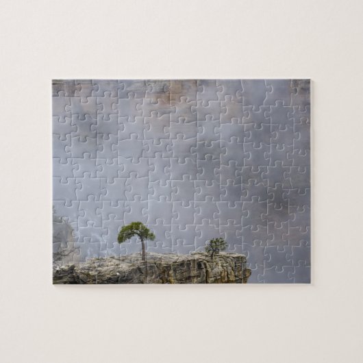 Grand Canyon Tree Puzzle (Horizontal)