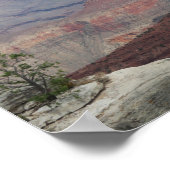 Grand Canyon USA Poster (Ecke)
