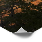 Grand Canyon View Poster (Ecke)