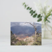"Grand Canyon Views" Postkarte (Stehend Vorderseite)