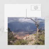 "Grand Canyon Views" Postkarte (Vorne/Hinten)