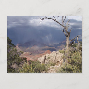 "Grand Canyon Views" Postkarte