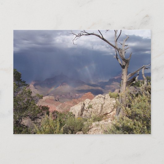 "Grand Canyon Views" Postkarte (Vorderseite)