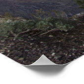 Grand Canyon Vista 14 Poster (Ecke)