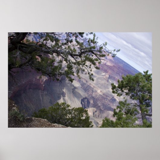 Grand Canyon Vista 14 Poster (Vorne)