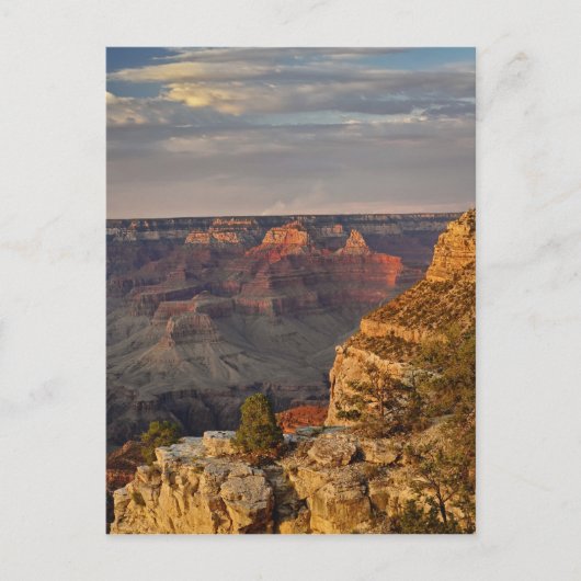 Grand Canyon vom südlichen Rand bei Sonnenuntergan Postkarte (Vorderseite)