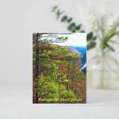 Grand Canyon, Wellsboro Pa Postkarte (Stehend Vorderseite)