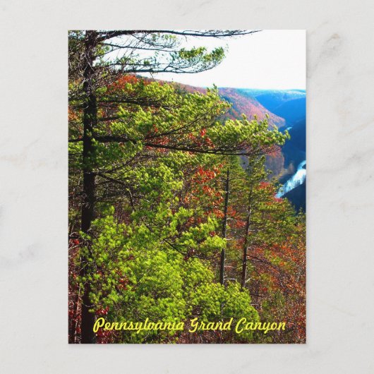 Grand Canyon, Wellsboro Pa Postkarte (Vorderseite)