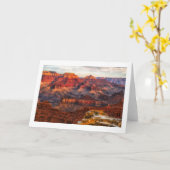 Grand- Canyongruß-Karte Karte (Gelbe Blume)