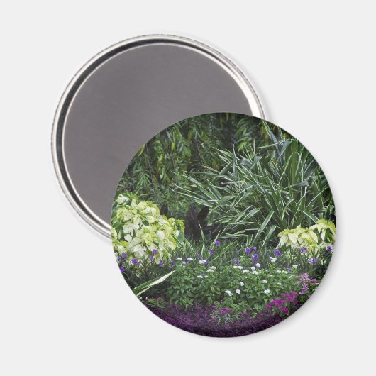 Grand Cayman-Inseln Magnet (Vorderseite/Rückseite)