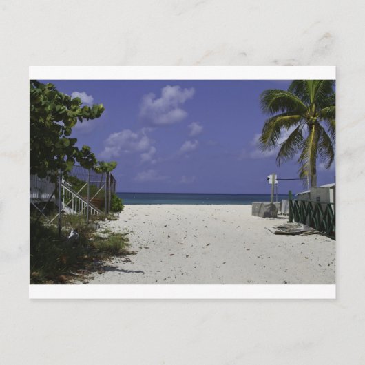 Grand Cayman-Inseln Postkarte (Vorderseite)