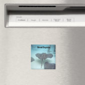 Grand Cayman Island Magnet (In Situ (Geschirrspüler))