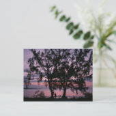 Grand Cayman Sunrise Postkarten (Stehend Vorderseite)