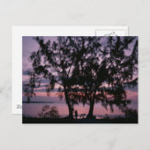 Grand Cayman Sunrise Postkarten (Vorne/Hinten)