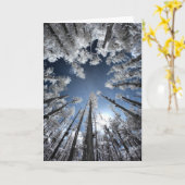 Grand Cypress Karte (Gelbe Blume)