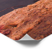 Grand Falls, Joplin, Missouri Poster (Ecke)