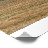 Grand Finale! Poster (Ecke)