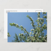 Grand Hotel, Mackinac Island, Mich. Postkarte (Vorne/Hinten)