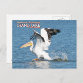 Grand Lake Oklahoma Postkarte pelican1 (Vorne/Hinten)