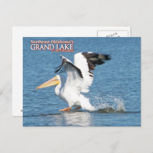 Grand Lake Oklahoma Postkarte pelican1 (Vorne/Hinten)