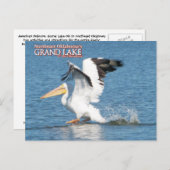Grand Lake Oklahoma Postkarte pelican 16v1 (Vorne/Hinten)