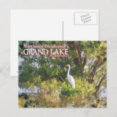 Grand Lake Oklahoma Postkartenegret Postkarte (Vorne/Hinten)